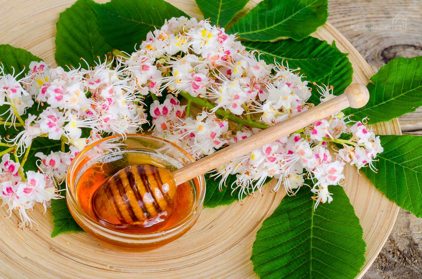 řecký kaštanový med